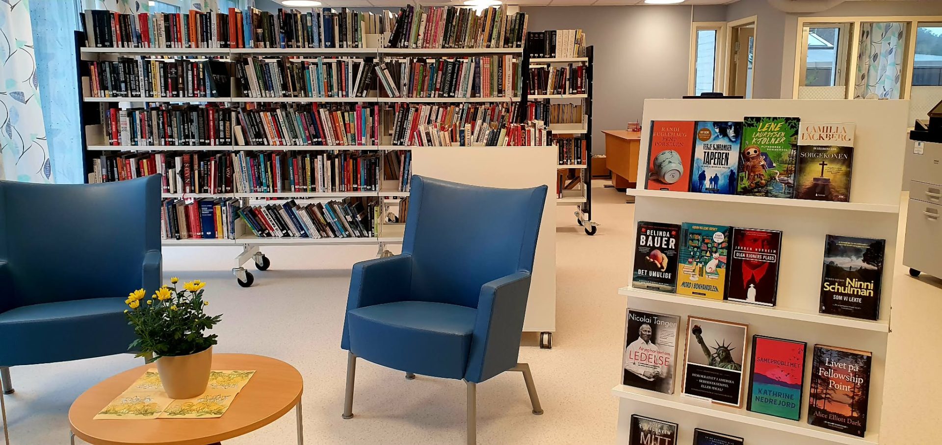 bibliotekhyller med ei sitjegruppe med stolar framføre